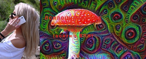 PSILOCYBIN Белоозёрский