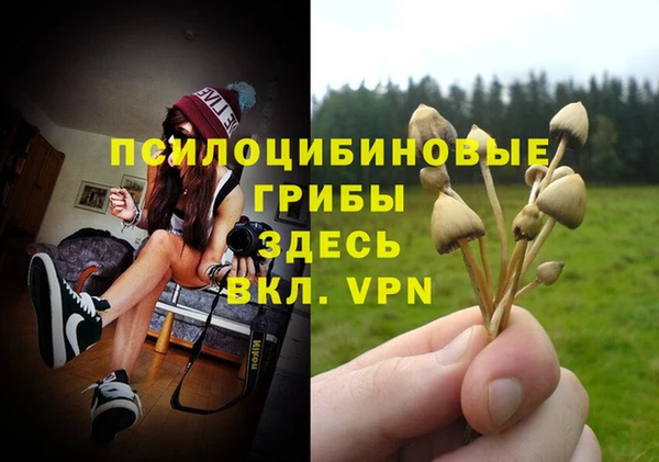 spice Надым