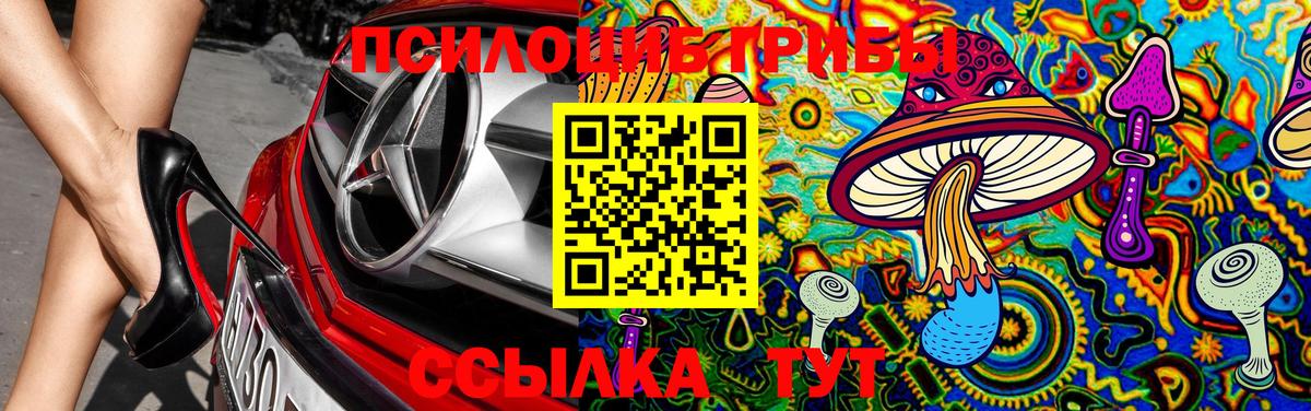 Тихвин  Псилоцибиновые грибы мухоморы  Вход с VPN 