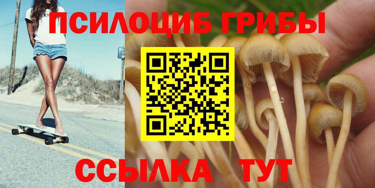Галлюциногенные грибы мицелий Тихвин